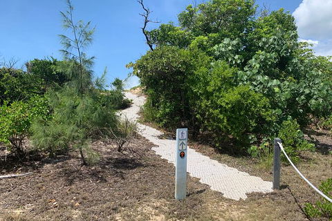 Hinchinbrook Island Tour - Accommodation in Brisbane 1