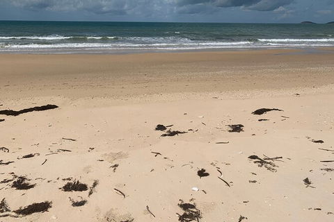 Hinchinbrook Island Tour - Accommodation in Brisbane 6