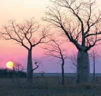 8-Day Outback Experience from Queensland - Accommodation in Brisbane