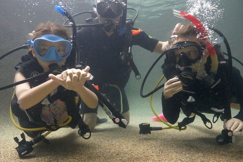 Scuba Kids- Padi Bubblemaker Course - Accommodation in Brisbane 4