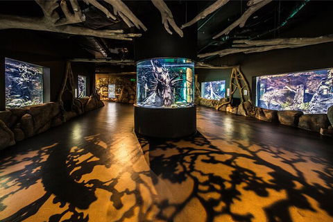 Cairns Aquarium By Twilight With 3 Course Dinner - Accommodation in Brisbane 7