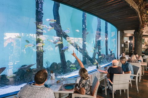 Cairns Aquarium By Twilight With 3 Course Dinner - Accommodation in Brisbane 1