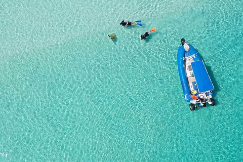 Remote Fraser Island & Whale Experience - Accommodation in Brisbane 0