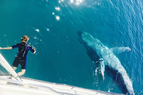 Remote Fraser Island & Whale Experience - Accommodation in Brisbane 4