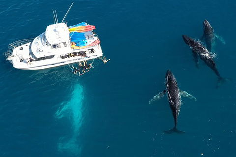Remote Fraser Island & Whale Experience - Accommodation in Brisbane 3