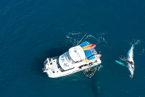 Remote Fraser Island & Whale Experience - Accommodation in Brisbane 1