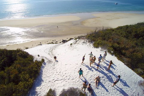 Remote Fraser Island & Whale Experience - Accommodation in Brisbane 2