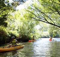 Paddle with the Platypus Twilight Kayak Adventure - Accommodation in Brisbane