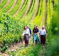 Tasmanian Wine Tour - Accommodation in Brisbane