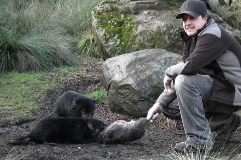 After Dark Tasmanian Devil Feeding Tour At Cradle Mountain - Accommodation in Brisbane 0