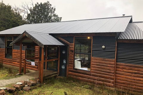 After Dark Tasmanian Devil Feeding Tour At Cradle Mountain - Accommodation in Brisbane 6
