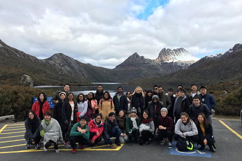 Shore Excursion - Cradle Mountain Day Tour From Burnie - Accommodation in Brisbane 4