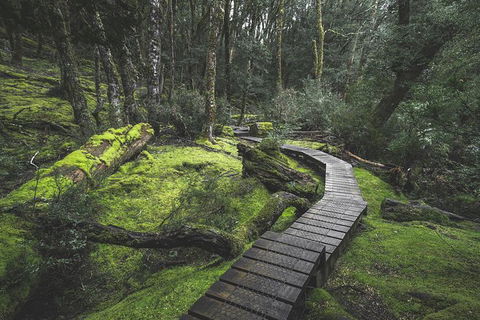 Shore Excursion - Cradle Mountain Day Tour From Burnie - Accommodation in Brisbane 2