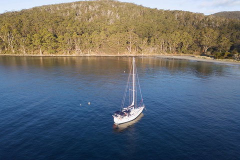 Derwent River Day Sail From Sullivan Cove And Return - Accommodation in Brisbane 2