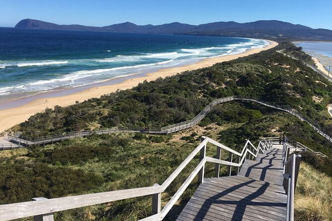 4-Day Fabulous Tasmania Tour: Wineglass Bay, Port Arthur, Devils & Bruny Island - Accommodation in Brisbane 3