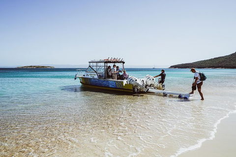 Sea & Explore Wineglass Bay & Freycinet National Park - Cruise & Walk - Accommodation in Brisbane 3