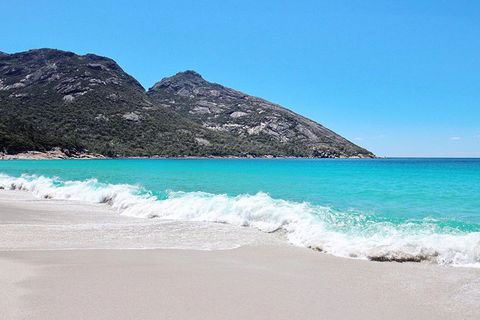 Sea & Explore Wineglass Bay & Freycinet National Park - Cruise & Walk - Accommodation in Brisbane 4