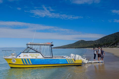 Sea & Explore Wineglass Bay & Freycinet National Park - Cruise & Walk - Accommodation in Brisbane 7