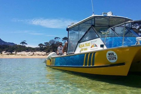 Sea & Explore Wineglass Bay & Freycinet National Park - Cruise & Walk - Accommodation in Brisbane 1