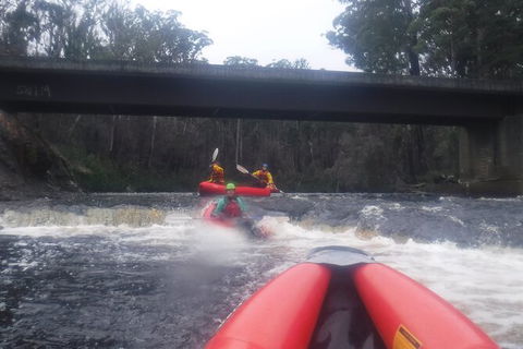 Twin Rivers Winter Adventure - Accommodation in Brisbane 4
