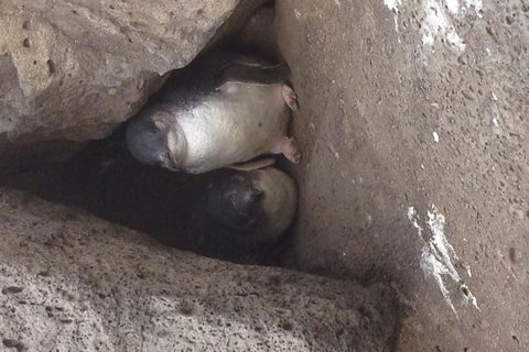 Food Tour Melbourne - St Kilda - Accommodation in Brisbane 4