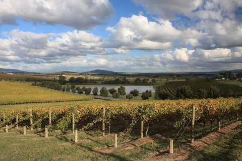 LGBT+ Friendly Full Day Yarra Valley & Dandenong Ranges Private Tour - Accommodation in Brisbane 0