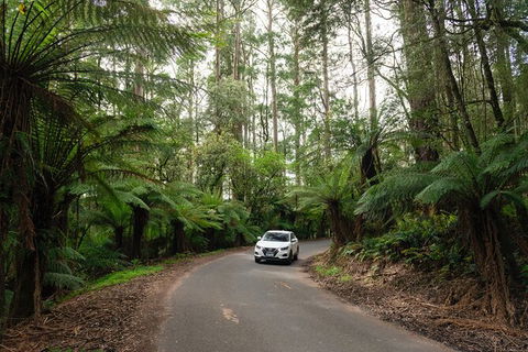 LGBT+ Friendly 3 Day Tour The Grampians, Daylesford & Ballarat - Accommodation in Brisbane 1