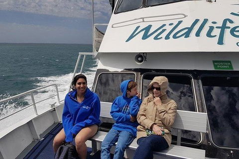 Phillip Island Penguin And Wildlife Tour - Accommodation in Brisbane 15