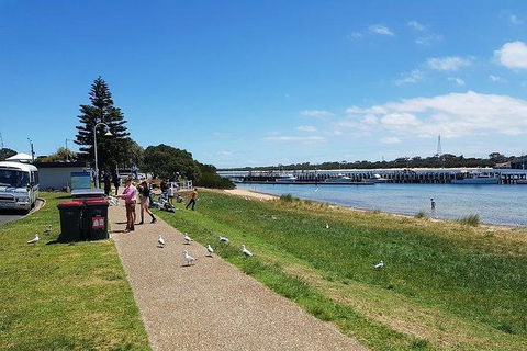 Phillip Island Penguin And Wildlife Tour - Accommodation in Brisbane 25