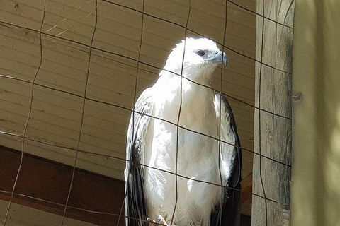 Phillip Island Penguin And Wildlife Tour - Accommodation in Brisbane 21