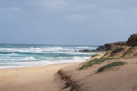 Phillip Island Penguin And Wildlife Tour - Accommodation in Brisbane 10