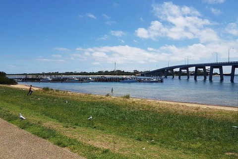 Phillip Island Penguin And Wildlife Tour - Accommodation in Brisbane 24