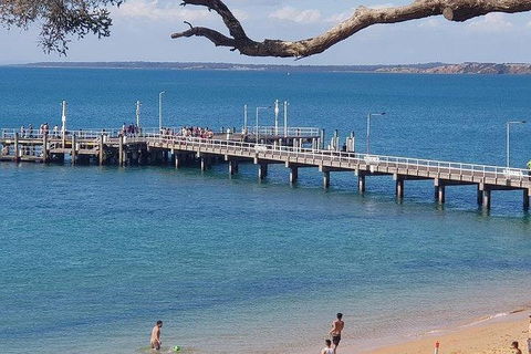 Phillip Island Penguin And Wildlife Tour - Accommodation in Brisbane 2