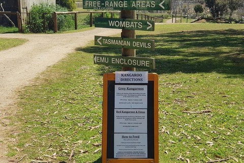 Phillip Island Penguin And Wildlife Tour - Accommodation in Brisbane 4