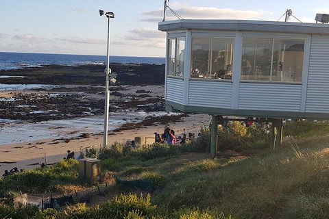 Phillip Island Penguin And Wildlife Tour - Accommodation in Brisbane 33