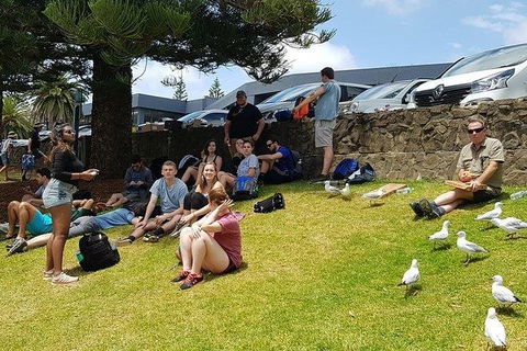 Phillip Island Penguin And Wildlife Tour - Accommodation in Brisbane 22