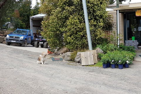 Yarra Valley Wineries And Rayners Orchard Tour From Melbourne - Accommodation in Brisbane 8