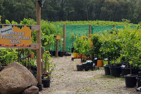Yarra Valley Wineries And Rayners Orchard Tour From Melbourne - Accommodation in Brisbane 0