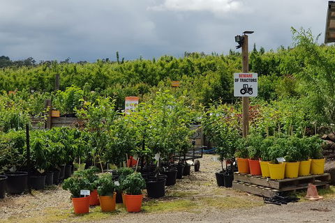 Yarra Valley Wineries And Rayners Orchard Tour From Melbourne - Accommodation in Brisbane 22