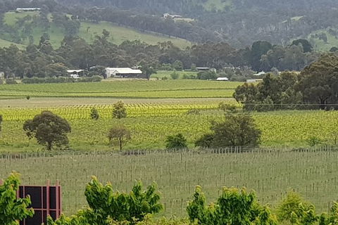 Yarra Valley Wineries And Rayners Orchard Tour From Melbourne - Accommodation in Brisbane 2