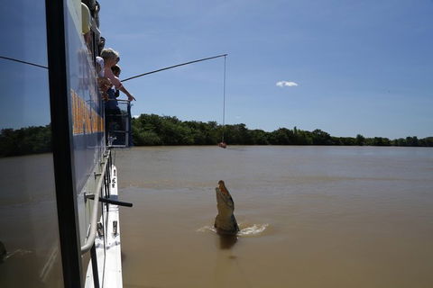 Darwin City Sights And Jumping Crocodile Cruise - Accommodation in Brisbane 2