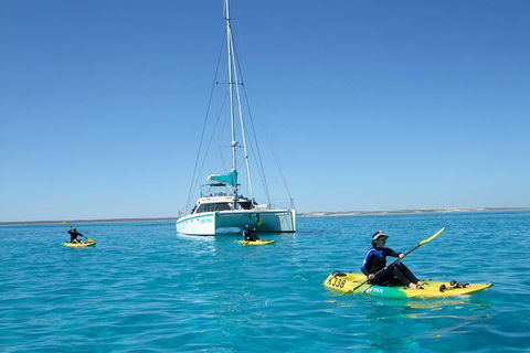 5 Night Ningaloo Reef Ningaloo Escape From Coral Bay - Accommodation in Brisbane 0