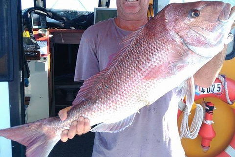 Geraldton Fishing Charter - Accommodation in Brisbane 10