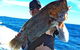 Geraldton Fishing Charter - thumb 4