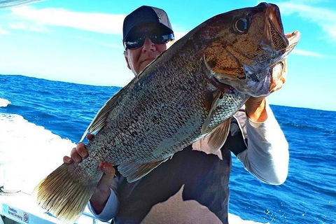 Geraldton Fishing Charter - Accommodation in Brisbane 4