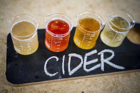 Bickley Valley Wine & Cider Tour - Premium Small Group Tour - Accommodation in Brisbane 1