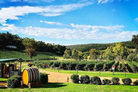 Bickley Valley Wine & Cider Tour - Premium Small Group Tour - Accommodation in Brisbane 0