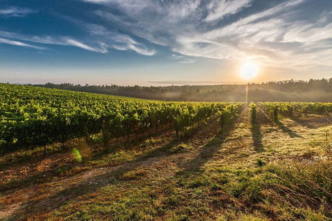 Perth To Margaret River Wine Tour - 2 Day Premium Boutique Wine Tour Experience - Accommodation in Brisbane 0