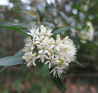 Booderee National Park - Accommodation in Brisbane