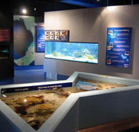 Marine and Freshwater Discovery Centre - Accommodation in Brisbane